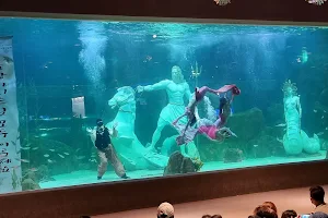 Daejeon Expo Aquarium image