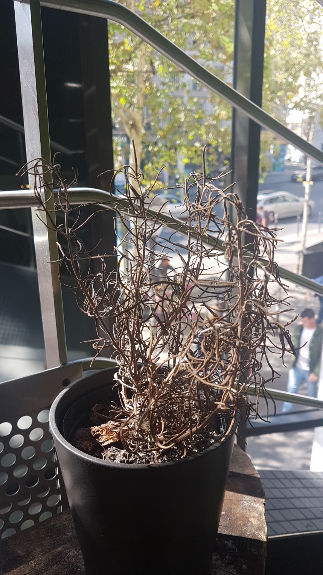 Photo n° 1 de l'avis de Basile.l fait le 01/09/2018 à 14:14