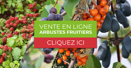 Arbustes de fruits en ligne - Terra-Boréal