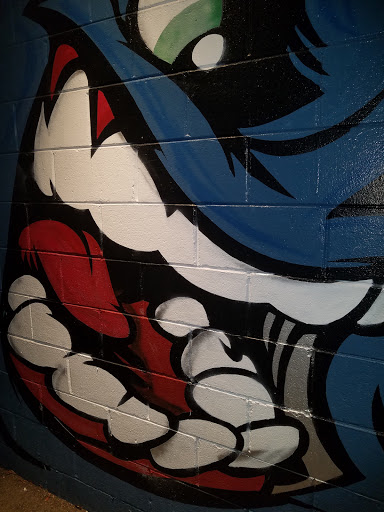 Bowling Alley «Mt. Morris Lanes and Pro Shop», reviews and photos, 9 Erie St, Mt Morris, NY 14510, USA