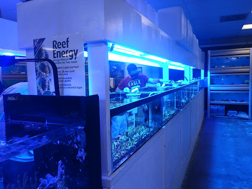 Pet Store «The Aquarium & Fish Store», reviews and photos, 710 W Lumsden Rd, Brandon, FL 33511, USA