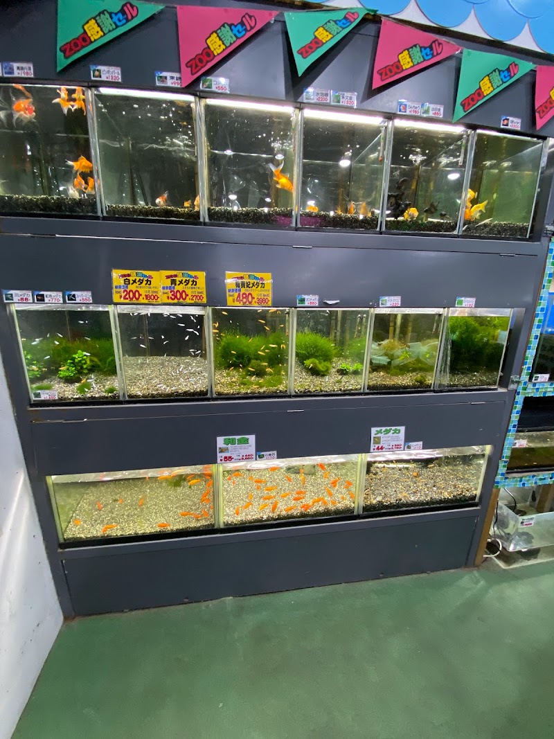 Zoo恵比寿 東京都渋谷区東 ペットショップ ペット グルコミ