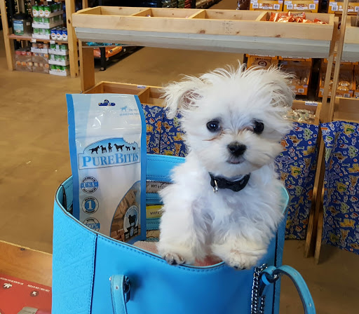 Pet Store «Paws Natural Pet Emporium», reviews and photos, 8551 W Gage Blvd, Kennewick, WA 99336, USA