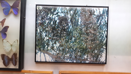 Science Museum «miSci - Museum of Innovation and Science», reviews and photos, 15 Nott Terrace Heights, Schenectady, NY 12308, USA