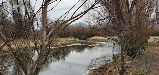 Nature Preserve «Kern River Preserve», reviews and photos, 18747 CA-178, Weldon, CA 93283, USA