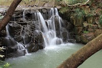 まさかりが淵市民の森