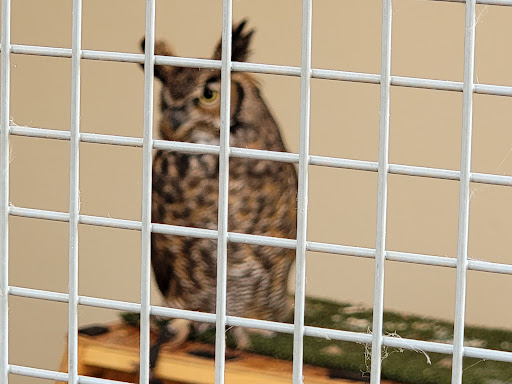 Park «Elm Creek Park Reserve», reviews and photos, 12400 James Deane Pkwy, Maple Grove, MN 55369, USA