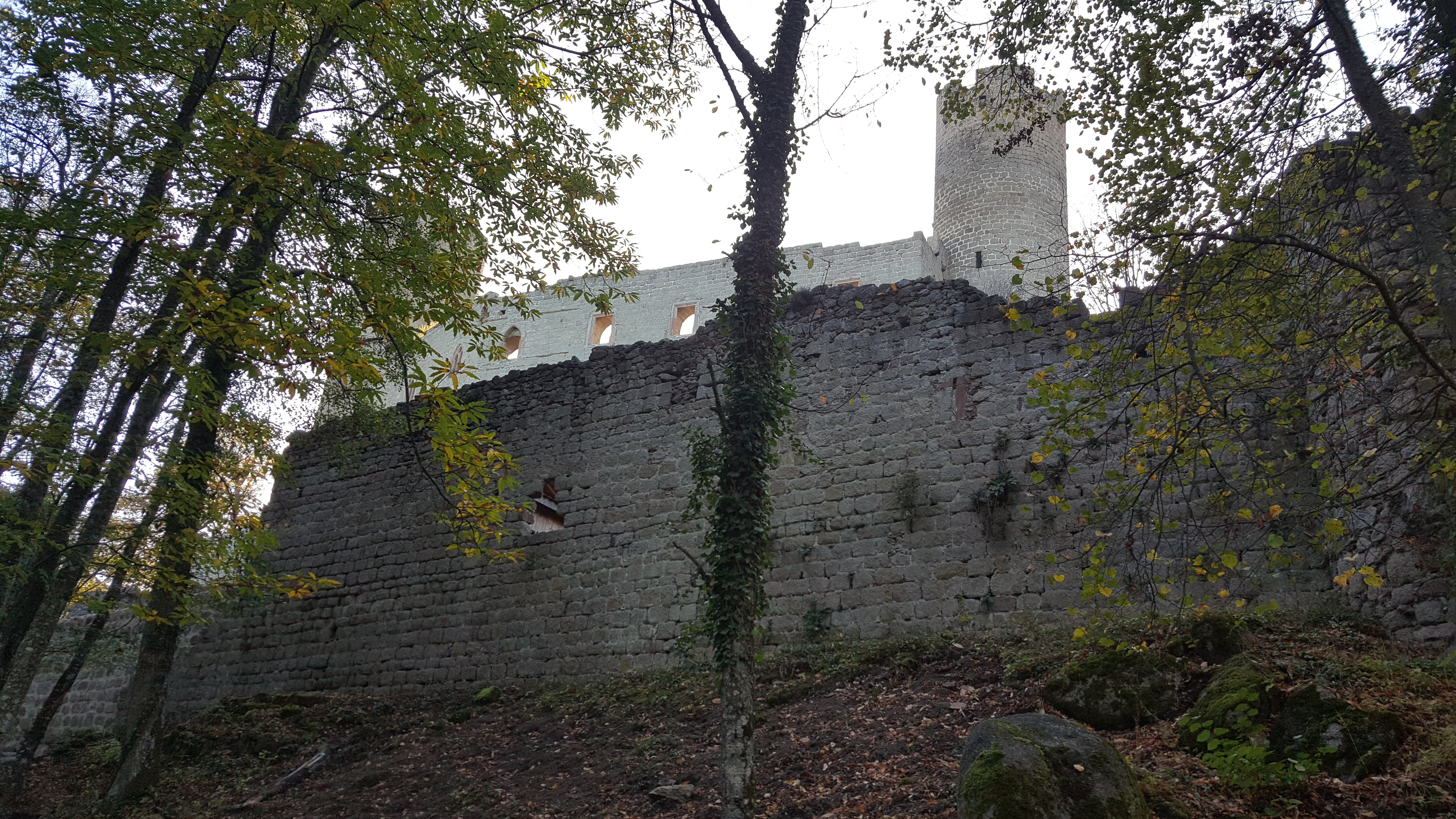 Photo n° 1 de l'avis de Stephma.a fait le 01/11/2017 à 15:45