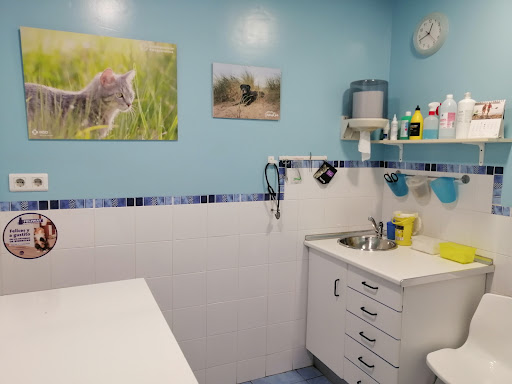 Clínica Veterinaria Sopelana en Sopelana