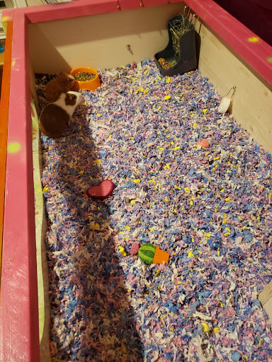 Pet Store «Animal House Pets, LLC», reviews and photos, 3101 Richmond Rd # 201, Lexington, KY 40509, USA