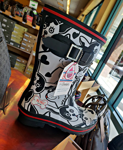 Shoe Store «Peltz Shoes - Clearwater Store», reviews and photos, 2675 Gulf to Bay Blvd, Clearwater, FL 33759, USA