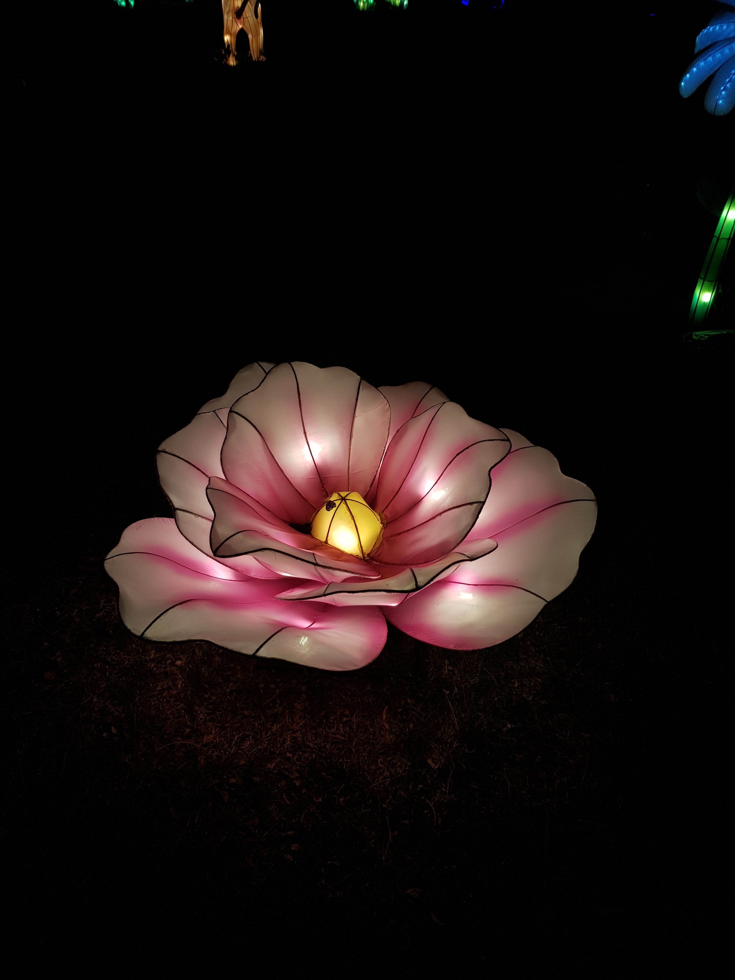 Photo n° 15 de l'avis de AlexBebop. fait le 30/12/2019 à 10:04