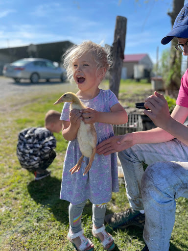 Farm «Benton Family Farm», reviews and photos, 11896 Old Lexington Pike, Walton, KY 41094, USA