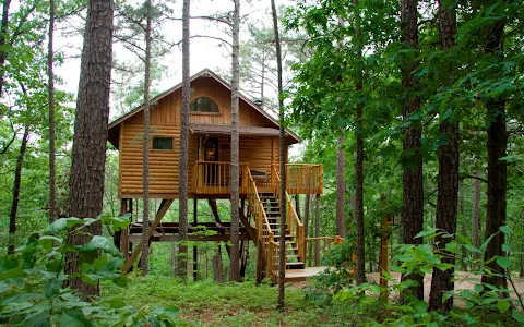 Treehouse Cottages image