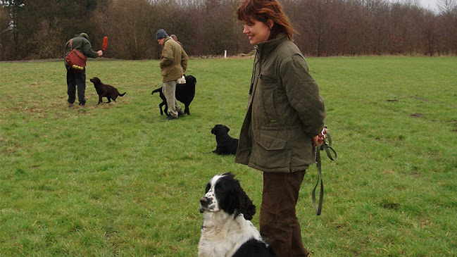 Hundetræneren.dk - Hundetræner