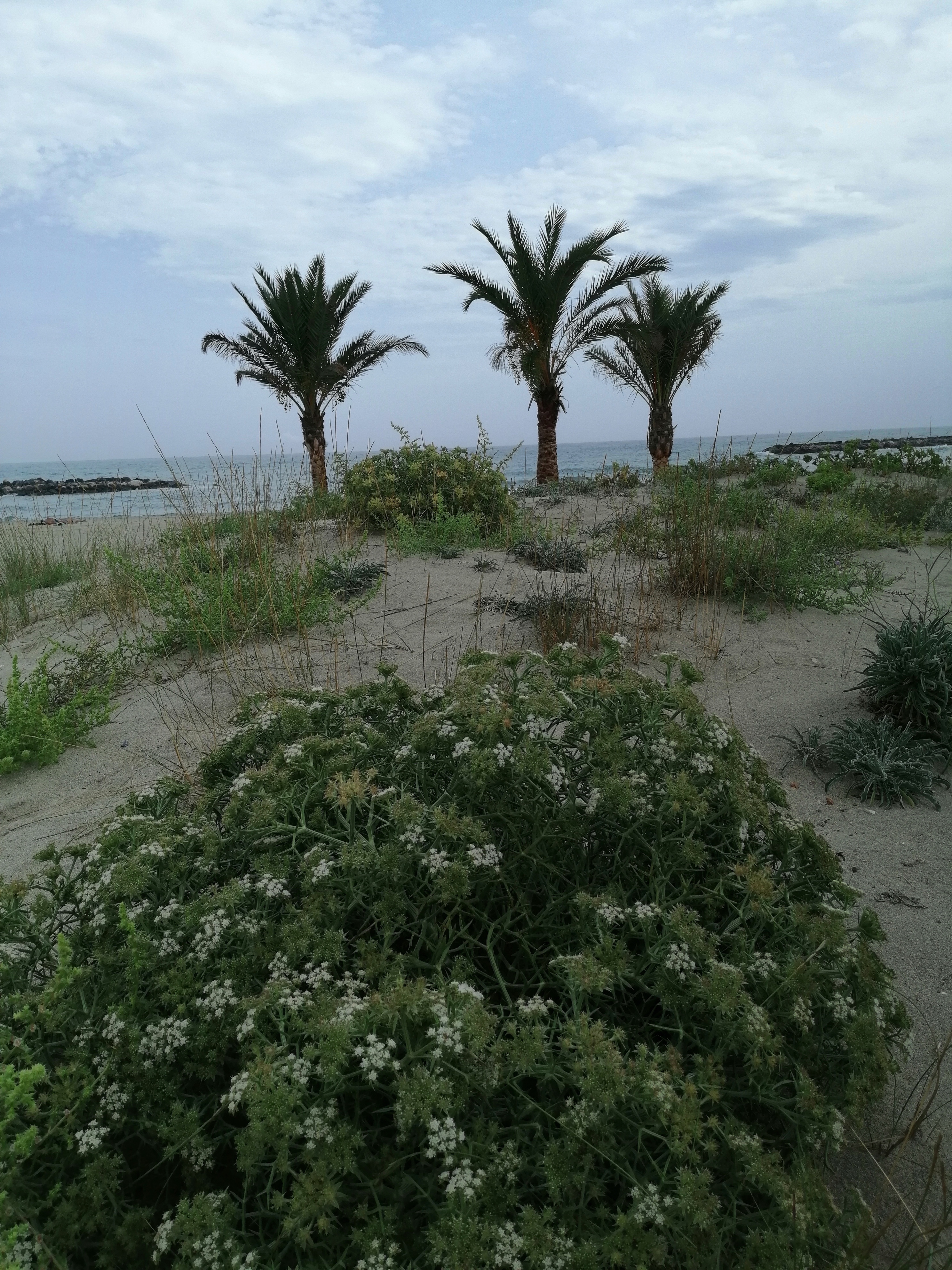 Photo n° 5 de l'avis de Eliane.s fait le 19/09/2021 à 22:07