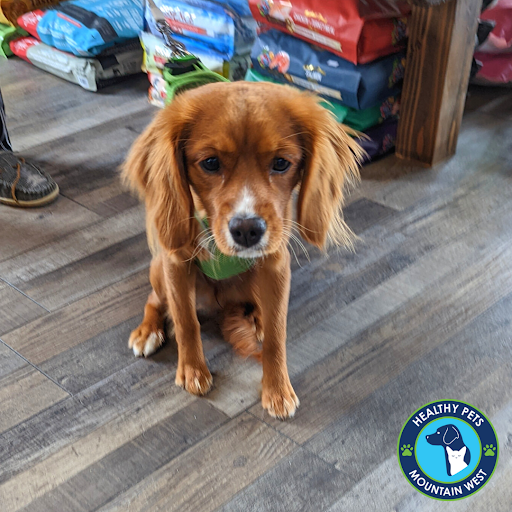 Pet Store «Healthy Pets Mountain West», reviews and photos, 2352 Fort Union Blvd, Cottonwood Heights, UT 84121, USA