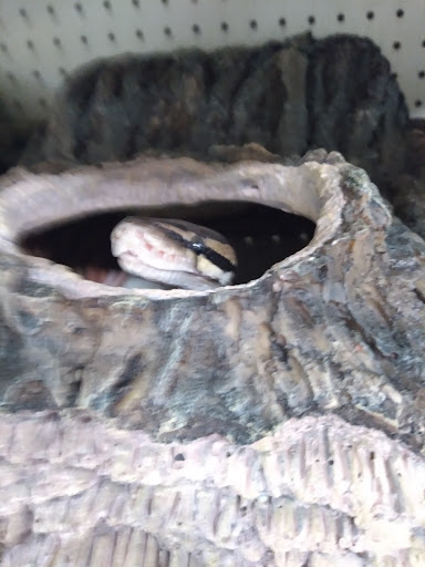 Pet Supply Store «PetSmart», reviews and photos, 1945 Pavilion Way, Lexington, KY 40509, USA