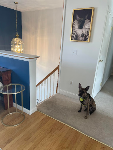 Craft Store «Michaels», reviews and photos, 861 Williston Rd Ste 1, South Burlington, VT 05403, USA