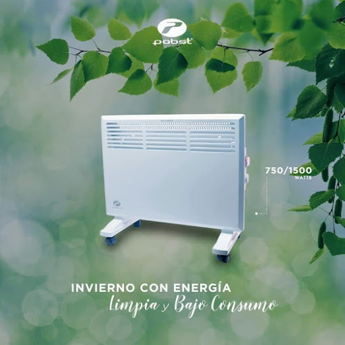 Calefactores Pabst Limitada - Concepción