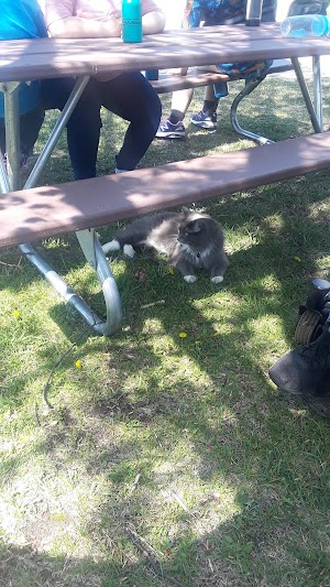 Lions Park - photo 23