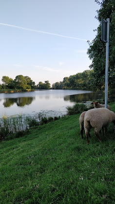 Paysage Ferienwohnung FeWo Carstens 25788 Delve