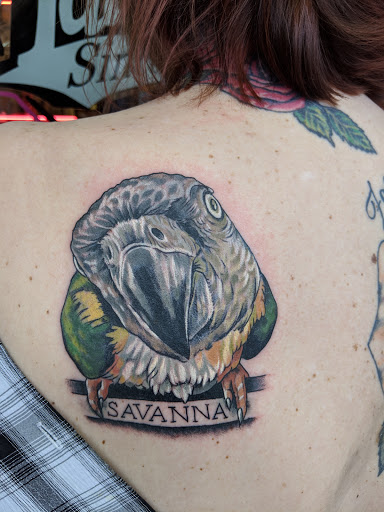 Tattoo Shop «Designs By Dana», reviews and photos, 4167 Hamilton Ave, Cincinnati, OH 45223, USA