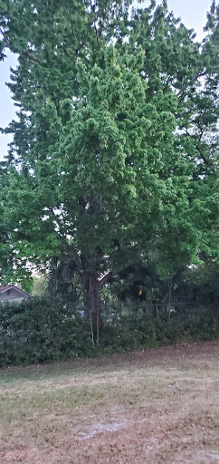 Park «Eastmonte Park», reviews and photos, 830 Magnolia Dr, Altamonte Springs, FL 32701, USA