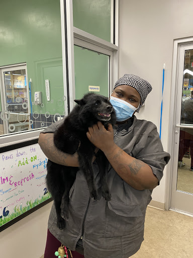 Pet Supply Store «Petco Animal Supplies», reviews and photos, 8500 Henry Ave #10, Philadelphia, PA 19128, USA