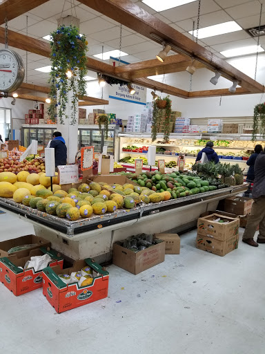 Supermarket «Ben City Supermarket», reviews and photos, 5520 Whitaker Ave, Philadelphia, PA 19124, USA