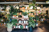 Terracotta - Photo 2 - Car repair in Boulder, CO, Boulder