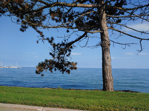 Zoo «Belle Isle Nature Center», reviews and photos, 176 Lakeside Dr, Detroit, MI 48207, USA