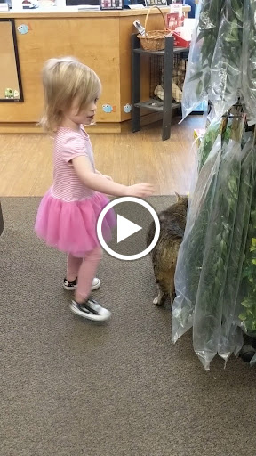 Pet Store «Fins And Feathers», reviews and photos, 222 Willow Ave, Honesdale, PA 18431, USA