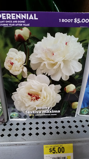 Discount Store «Walmart», reviews and photos, 513 W 23rd St, Panama City, FL 32405, USA