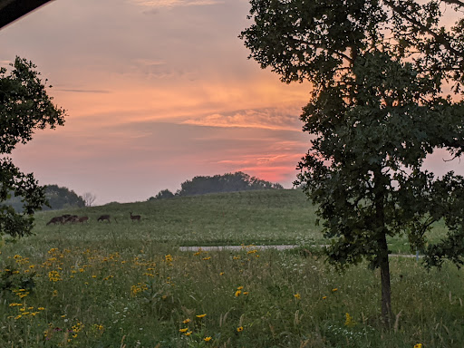 Nature Preserve «Buffalo Creek Forest Preserve», reviews and photos, 18163 W Checker Rd, Long Grove, IL 60047, USA