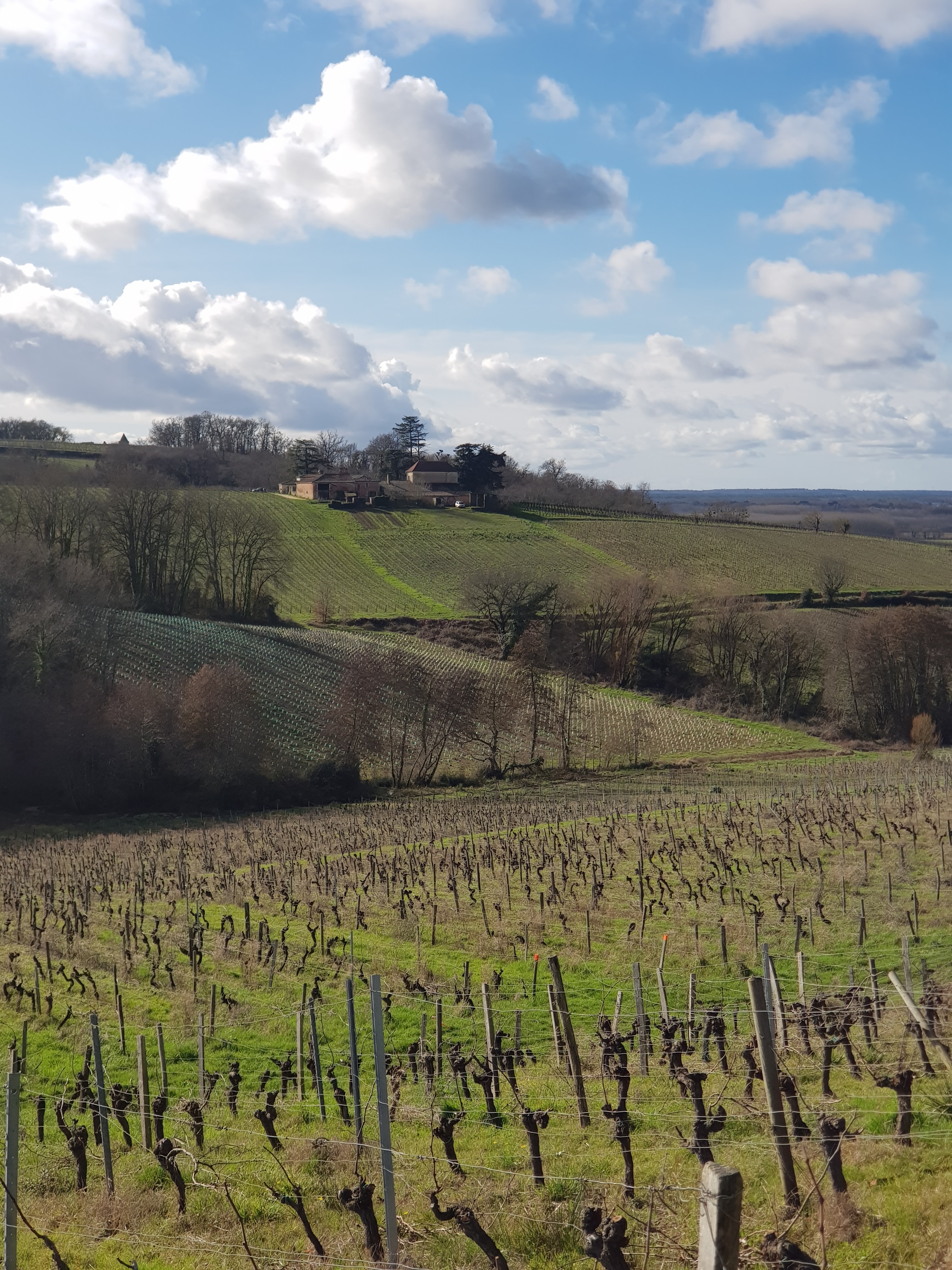 Photo n° 12 de l'avis de Philippe.u fait le 11/02/2021 à 12:36