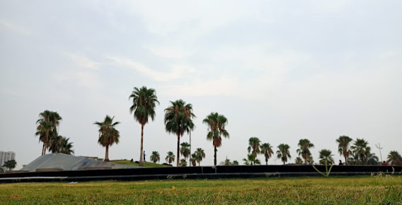 Google Maps image 18