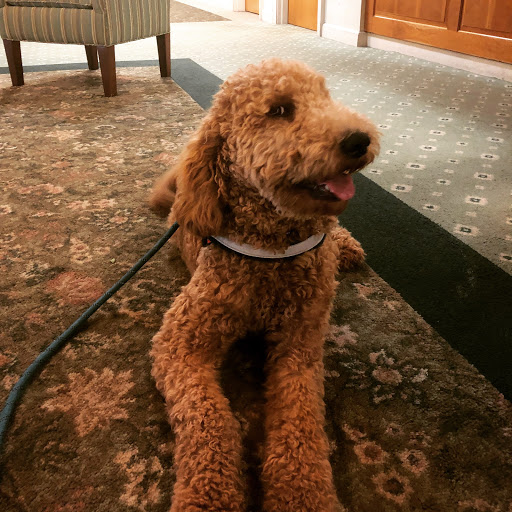 Funeral Home «B.C. Bailey Funeral Home», reviews and photos, 273 S Elm St, Wallingford, CT 06492, USA