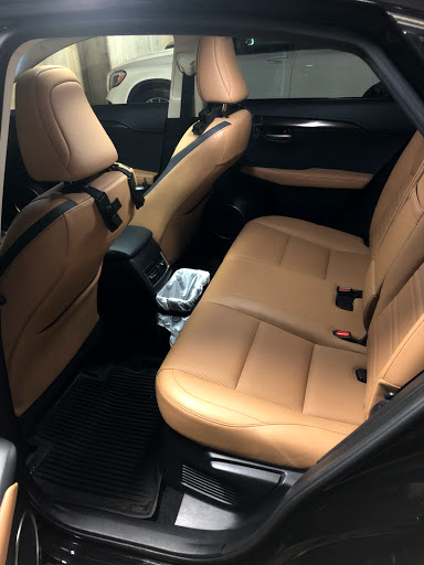 Car upholstery cleaning Nashville
