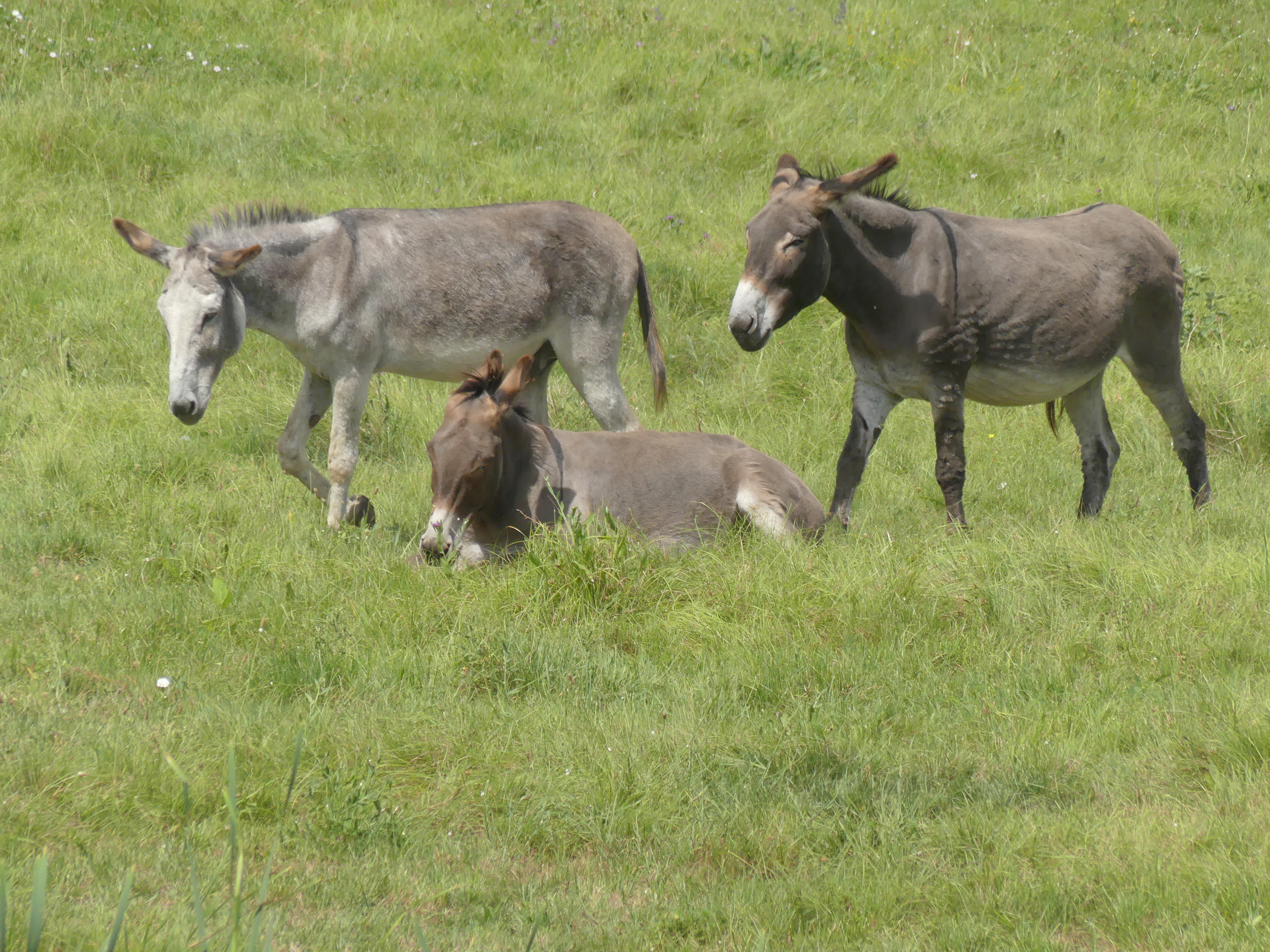 Photo n° 8 de l'avis de Patrick.a fait le 20/06/2021 à 17:10