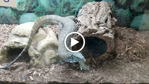 Pet Store «Pet Land», reviews and photos, 1450 Fort Campbell Blvd, Clarksville, TN 37042, USA