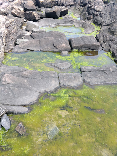 State Park «Salisbury Beach State Reservation», reviews and photos, 1 Beach Rd, Salisbury, MA 01952, USA