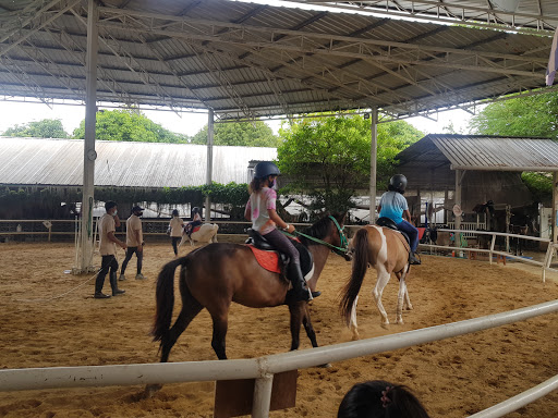 The Hay - Equestrian Center & Eatery
