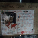 Photo n°7 de l'avis de isabella.h fait le 23/01/2019 à 15:58 sur le  Parco Zoo Falconara Srl à Falconara Marittima