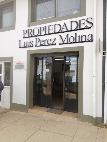 Propiedades Luis Pérez