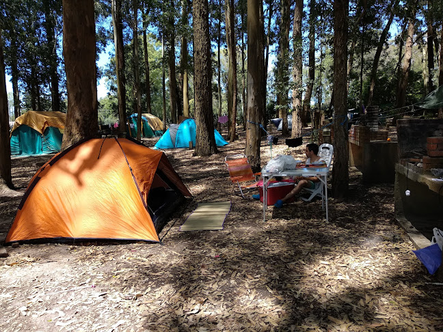 Comentarios y opiniones de Camping Punta Ballena