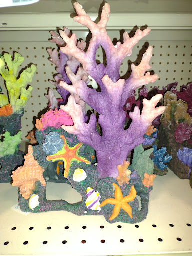 Pet Supply Store «PetSmart», reviews and photos, 3450 N Morrison Rd, Muncie, IN 47304, USA