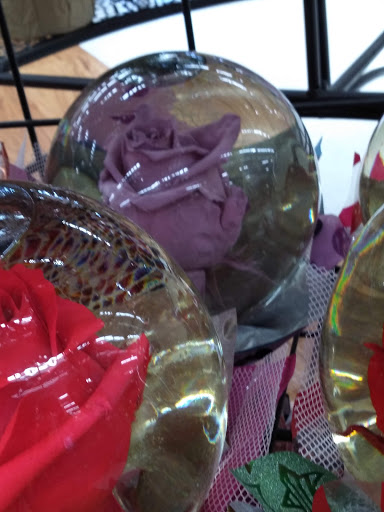 Grocery Store «Winn-Dixie», reviews and photos, 4512 FL-20, Niceville, FL 32578, USA