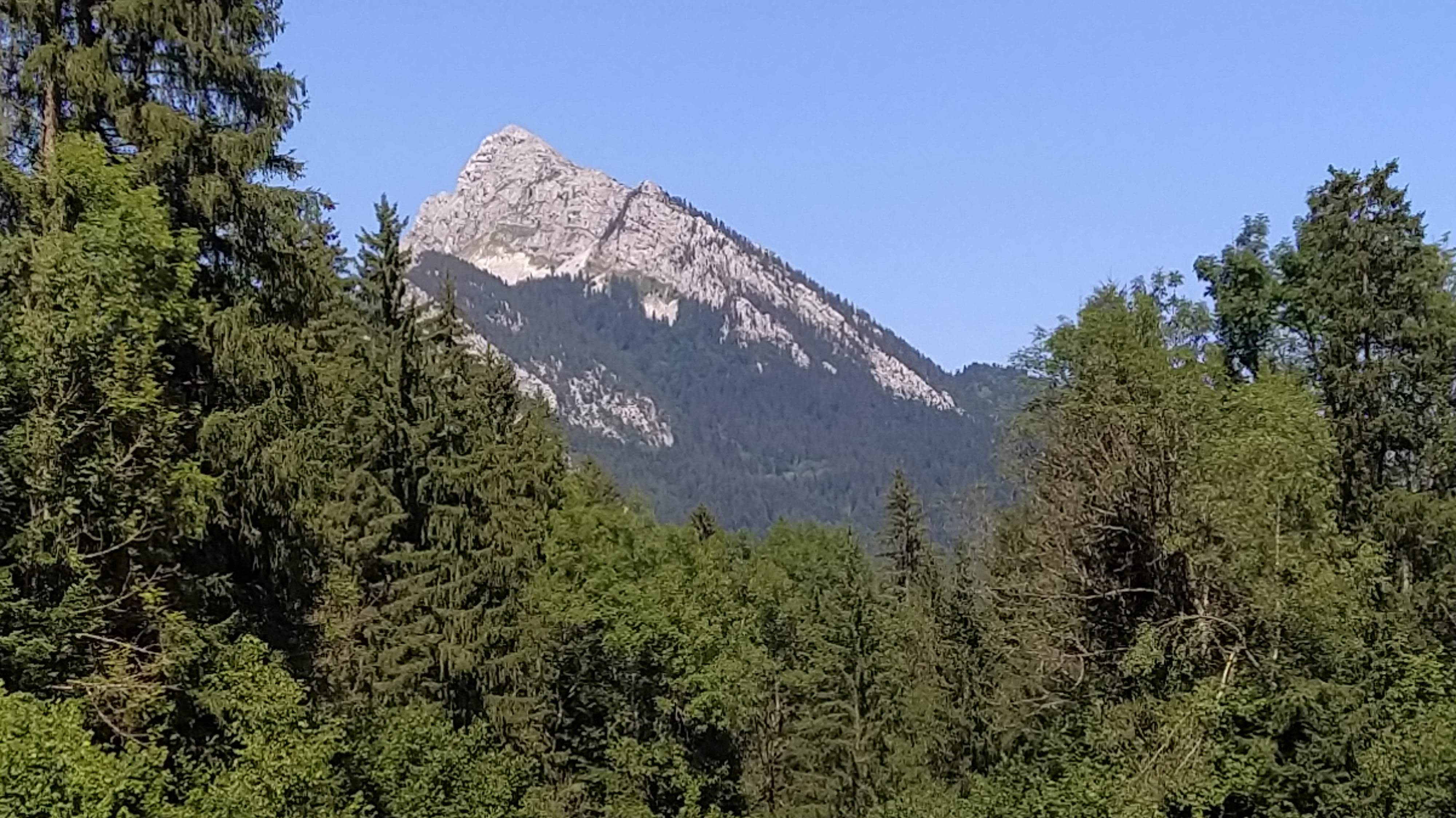 Photo n° 2 de l'avis de Mehdi.a fait le 24/08/2021 à 16:53