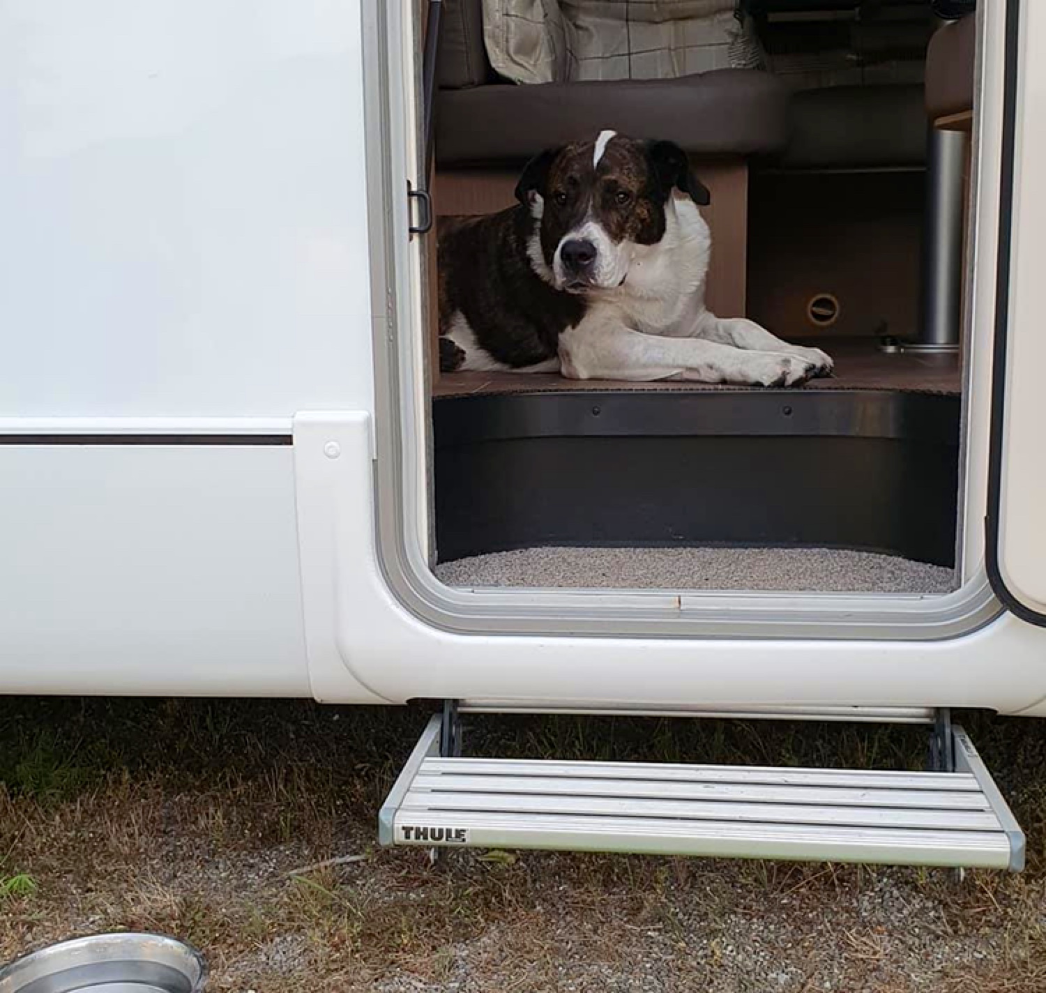 Photo n° 1 de l'avis de Vincent.a fait le 20/07/2020 à 14:48